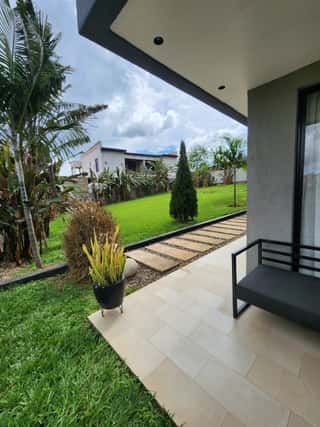 The patio bench, with palms and lawn beyond
