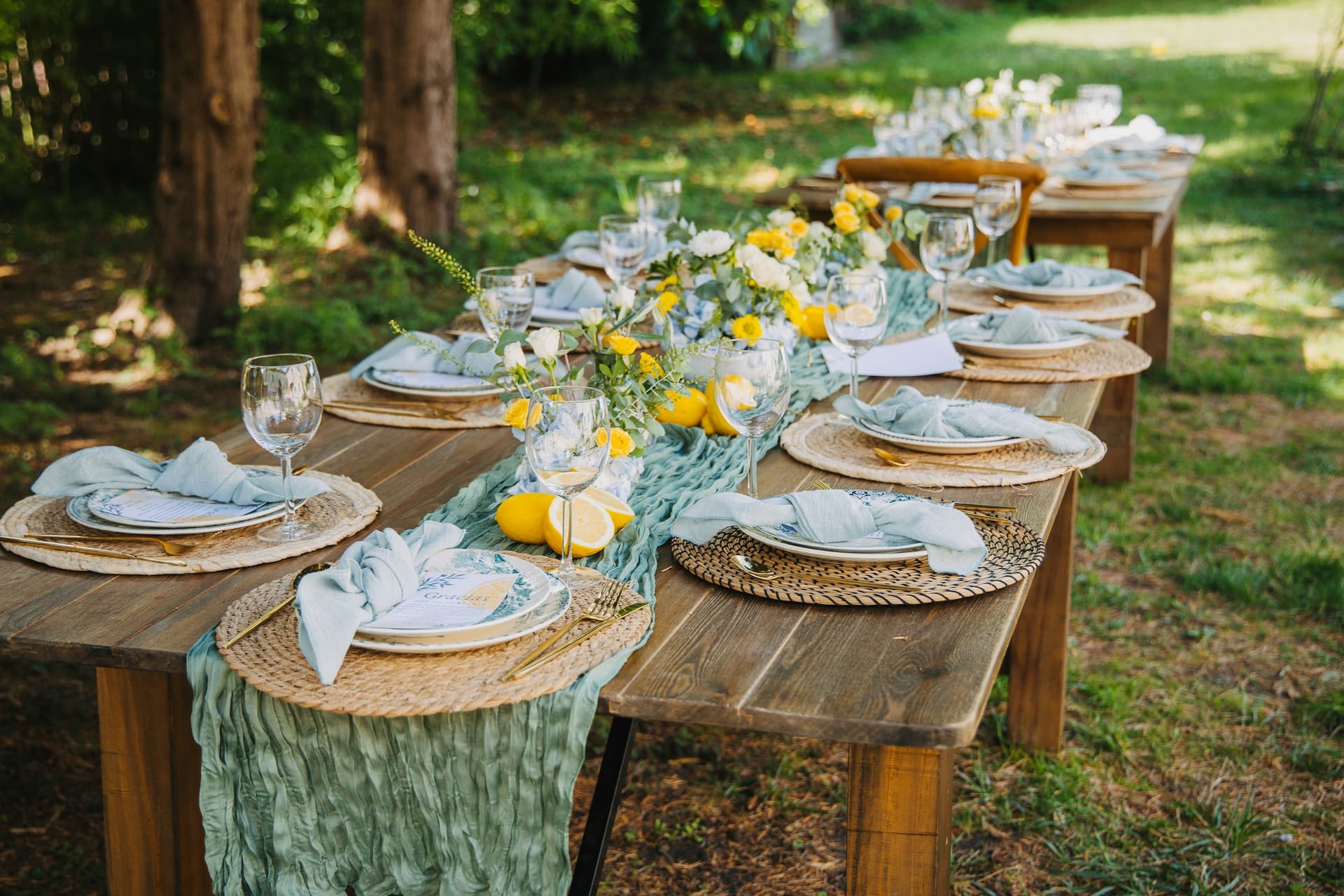 A long garden table set for a large group