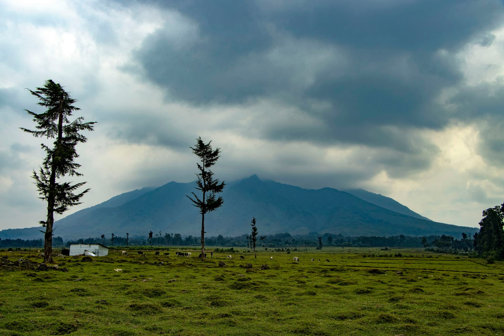 A volcano above the fields near Musanze