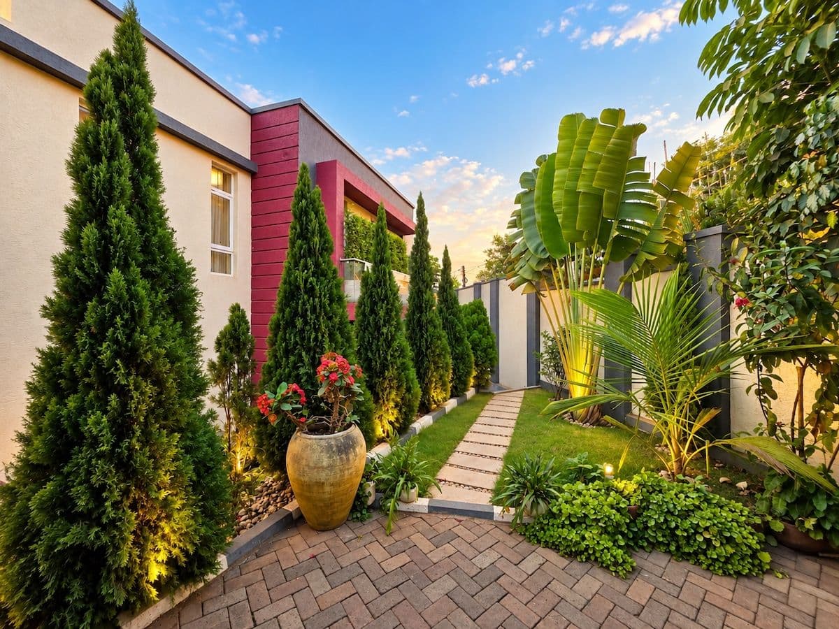 Cypress trees, palms and a stone path in Irebero's garden, lit at golden hour, Rebero, Kigali